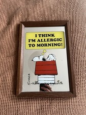 Vintage Snoopy Framed Mirror