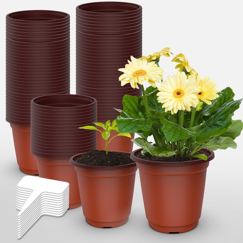 Seedling nursery pots 100 500 - seedling,