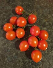 Sugardrop Tomatoes Organic Seeds, red Cherry type, sow outdoors, easy to grow