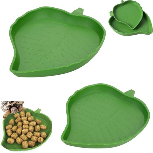 Pieces reptile food water - reptile,