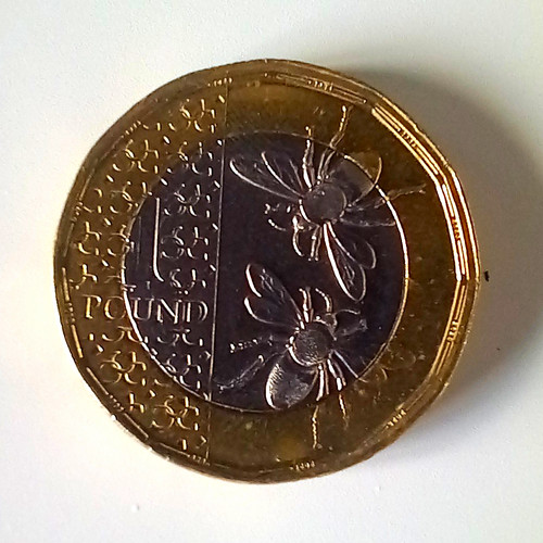 2025 one pound coin - £1,