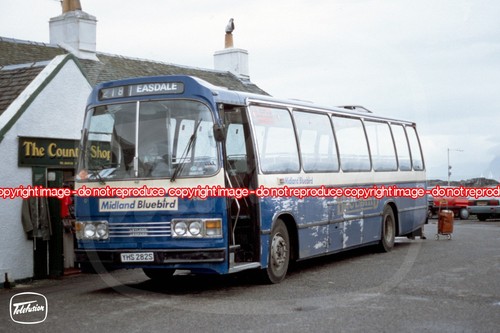 Bus photo midland bluebird - midland,