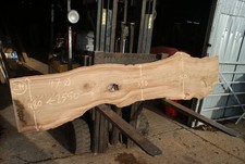 Elm Slab, Kiln Dried 2550 L x