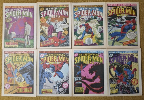 The spectacular spiderman - the,