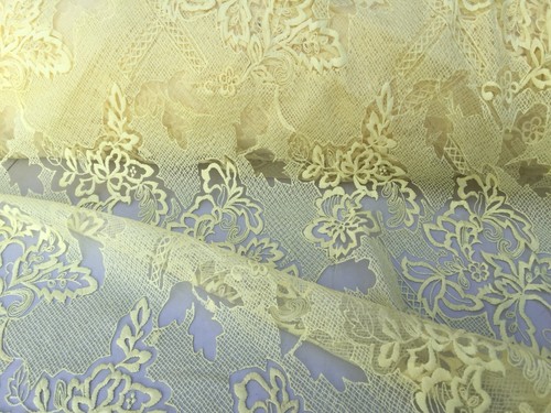 Embroidered french lace - embroidered,