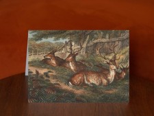 Male Fallow Deer by Samuel Howitt (1812) - A5 Art Print Greeting Card