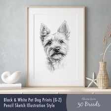 Black & White Dog Art Print