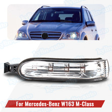 Door Mirror Turn Signal Lamp