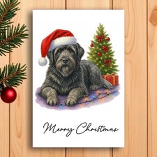Bouvier des Flandres Dog