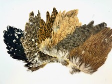 A Grade 2x hen saddles,soft hackles,fly tying hen saddles,new stock