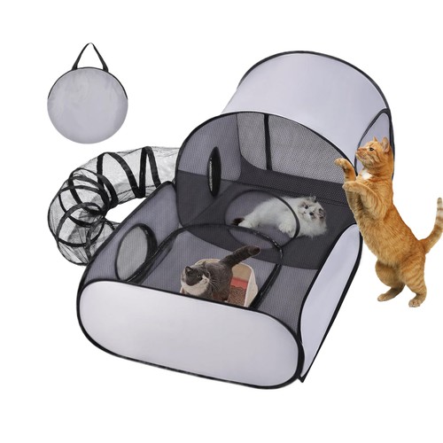 Cat play pen dog - play,