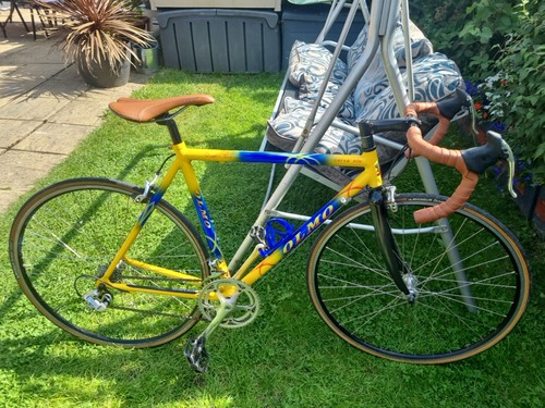 Olmo corsa alu campagnolo - olmo,
