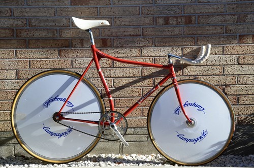Sannino pista pro 57cm - sannino,