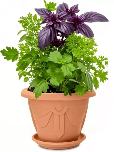 Plastic round venetian - round, planter