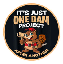 One Dam Project After Another