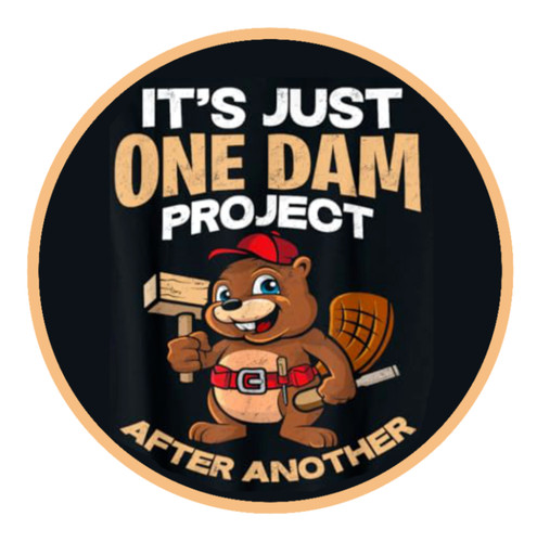 One dam project - dam, after