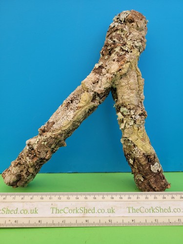 Cork bark branch 25cm - branch, snake