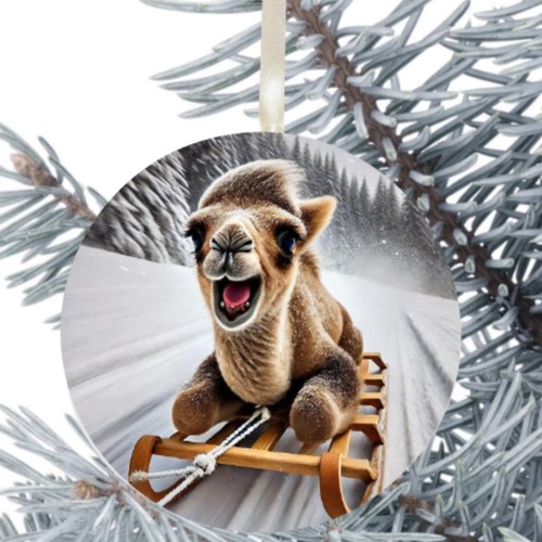 Camel gift present - gift,