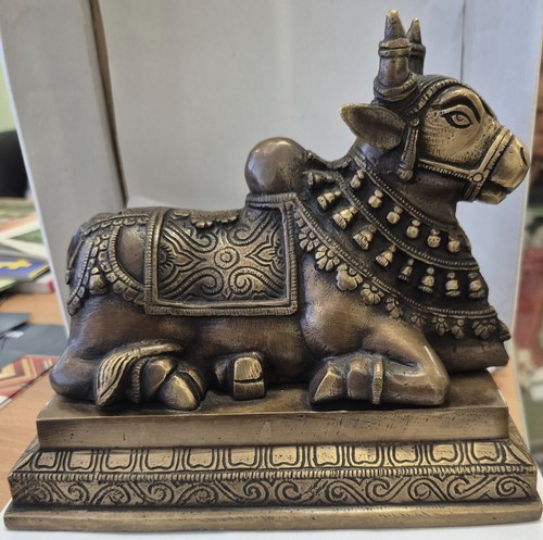 Nandi size 20 x - nandi,