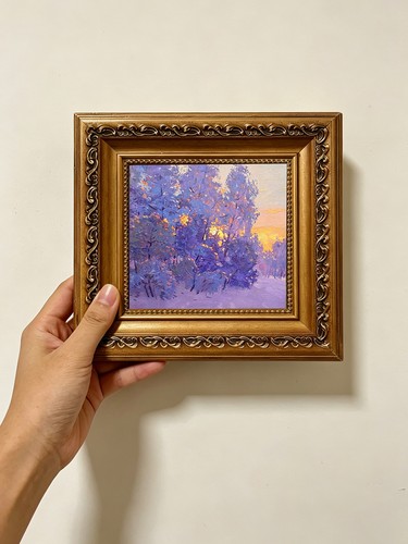 Purple toned tree - grove, sunset