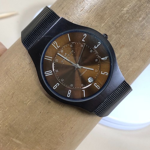 Skagen sundby titanium men - skagen,