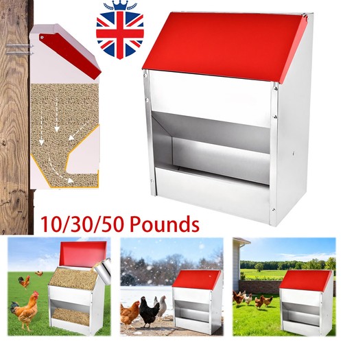 Galvanised metal chicken - galvanised,