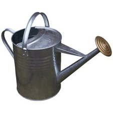 Apollo Gardening 9L 2Gal Traditional Galvanised Metal Watering Can Brass Rose 