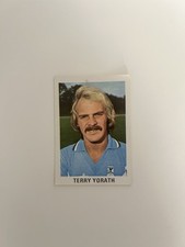 FKS Soccer Stars 80 TERRY
