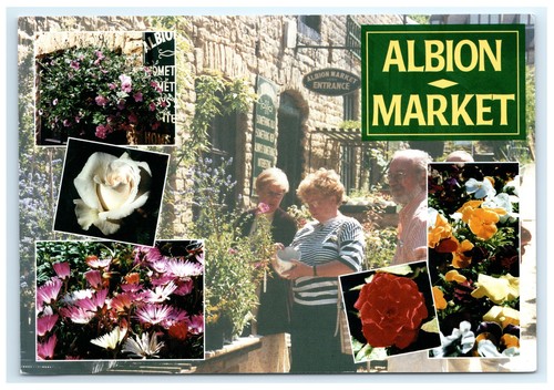 Albion market flowers - albion,