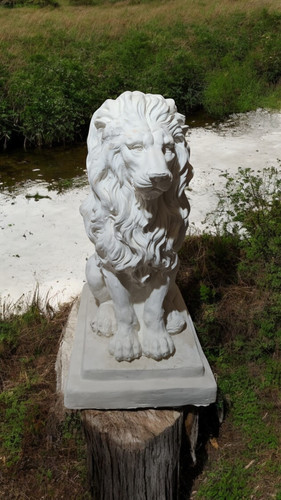 Latex and fibreglass mould - latex,