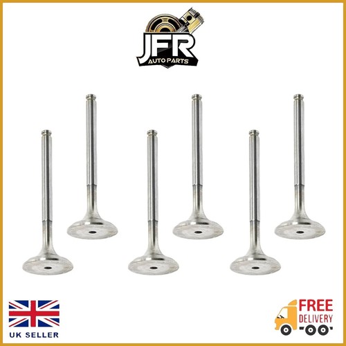 Exhaust valve pcs for - exhaust, 8-