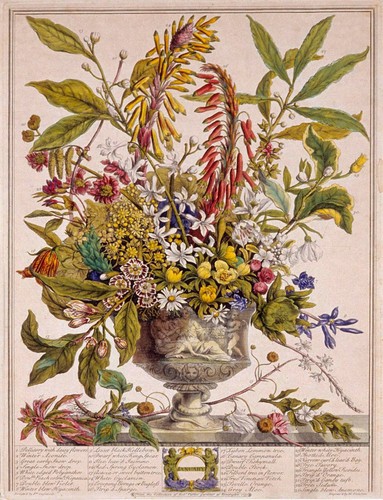 Flowers illustration vintage - flowers,