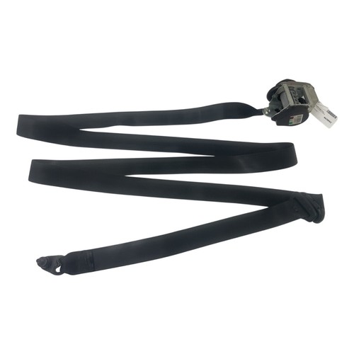 Ford focus mk3 - belt, right