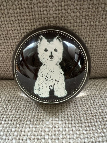 Yorkshire west highland westie - west,