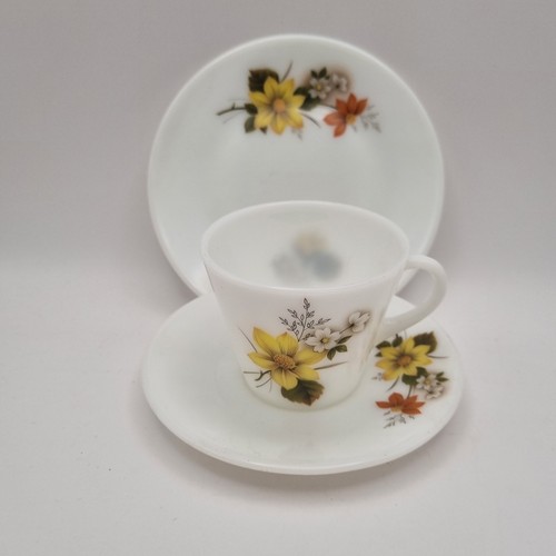 Pyrex jaj autumn - pyrex,
