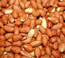 PEANUTS 350g 1kg 2.5kg 5kg 13kg 26kg : Wild Bird Food Nuts Animal Feed Kernels