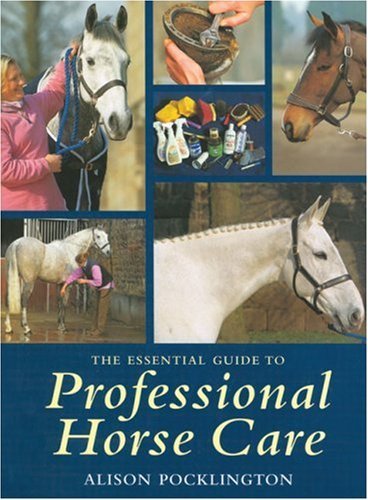 The essential guide - the,