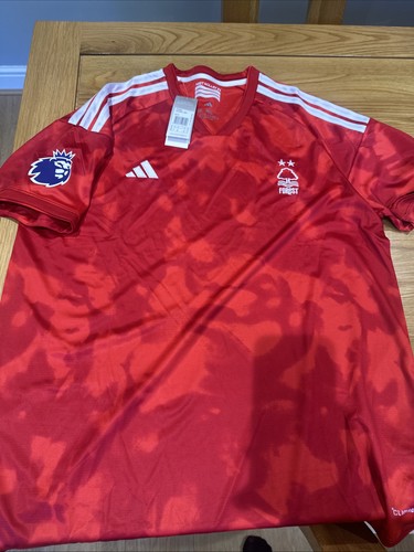 Nottingham forest home - nottingham,