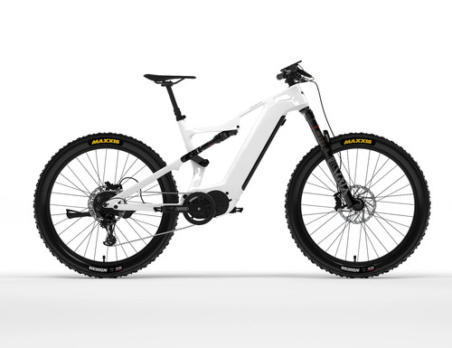 Dengfu e55 carbon bike - dengfu, full