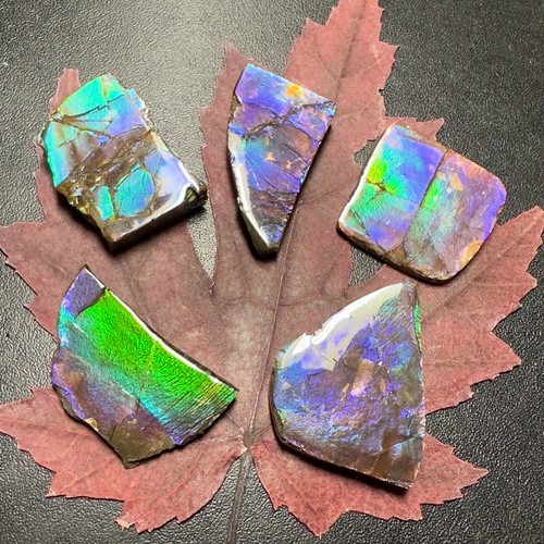 Genuine ammolite gemstones - genuine,