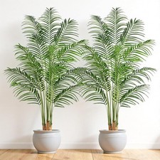 Artificial Palm Tree in Black Pot For Auction Green 180cm 2 PCS