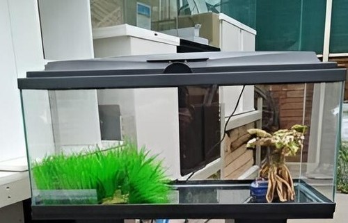 Large aquarium black - large,
