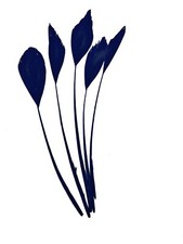 Long Fascinators Feathers