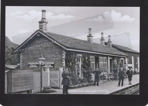 Dumgoyne railway station - dumgoyne,