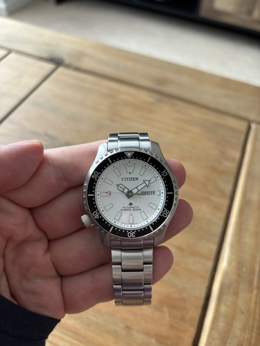 Citizen men promaster - promaster, fugu