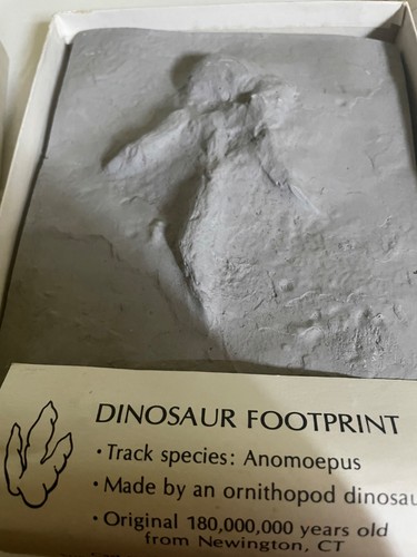 Rare gift cast - gift, of