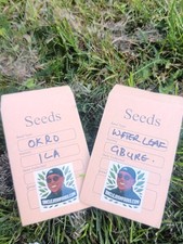 Waterleaf Seeds (20g) –