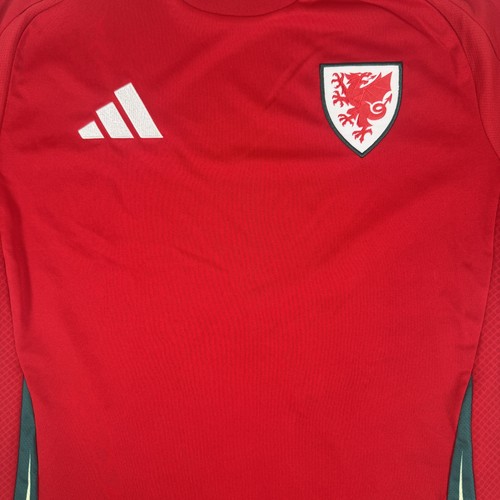 Wales football shirt 2024 - football, 2025