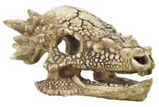 Dinosaur T-Rex M Skull