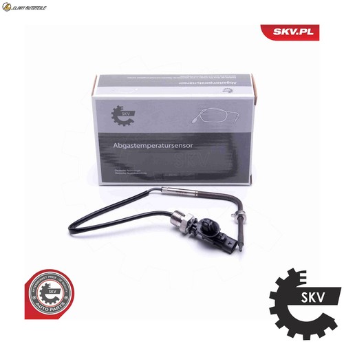 Exhaust gas temperature - gas, sensor